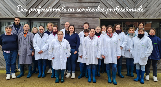 Des professionnels de la découpe des fruits et légumes frais au service des professionnels de la restauration