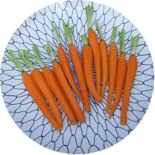 baby carrot