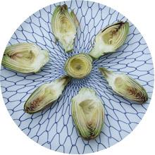 Artichoke