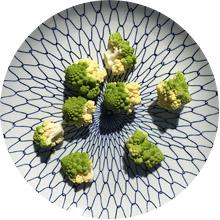 Chou romanesco