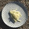 kohlrabi spaghetti raw