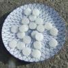 Navet blanc palet 30mm H: 10mm