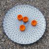 carrot hors d'uvre for snacking raw frozen