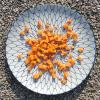sweet potato dice raw