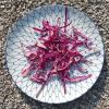 Red cabbage thinly sliced raw