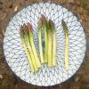 green asparagus whole raw