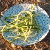 Zucchini spaghetti raw