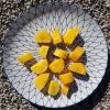 Carotte jaune morceau
