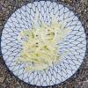 Fennel thinly sliced 1mm raw