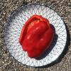 Red pepper half raw