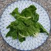 green chard Entier raw