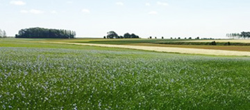 IMPACT RESPONSABLE
L&rsquo;utilisation de produits chimiques est r&eacute;duite au minimum dans le nettoyage des ateliers et remplac&eacute; par des proc&eacute;d&eacute;s physiques.
La chaleur g&eacute;n&eacute;r&eacute;e par les installations frigorifiques est capt&eacute;e pour produire de l&rsquo;eau chaude.De 2015 &agrave; 2019 nous avons r&eacute;duits&nbsp; plus de 30 % nos consommations au kilo produit&nbsp;
&nbsp;